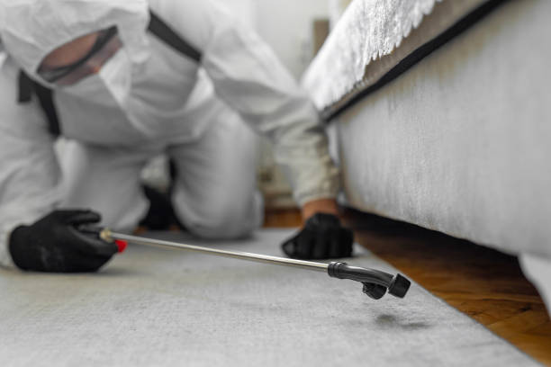 Professional Cockroach Control technician working in Savage, MD